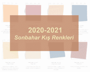2020 2021 sonbahar kış renkleri pantone