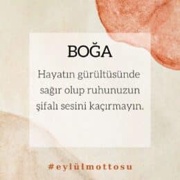 Boğa Burcu Eylül Ayı Burç Yorumları 2022