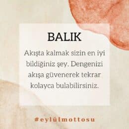 Balık Burcu Eylül Ayı Burç Yorumları 2022