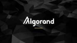 Algorand (ALGO) Nasıl Alınır Satılır?