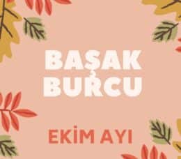 Başak Burcu Ekim Ayı Yorumları 2022