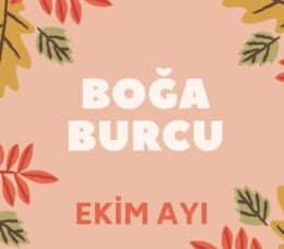 Boğa Burcu Ekim Ayı Yorumları 2022