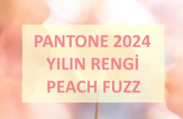 Pantone 2024 Yılı Rengi “Peach Fuzz”u Tanıttı